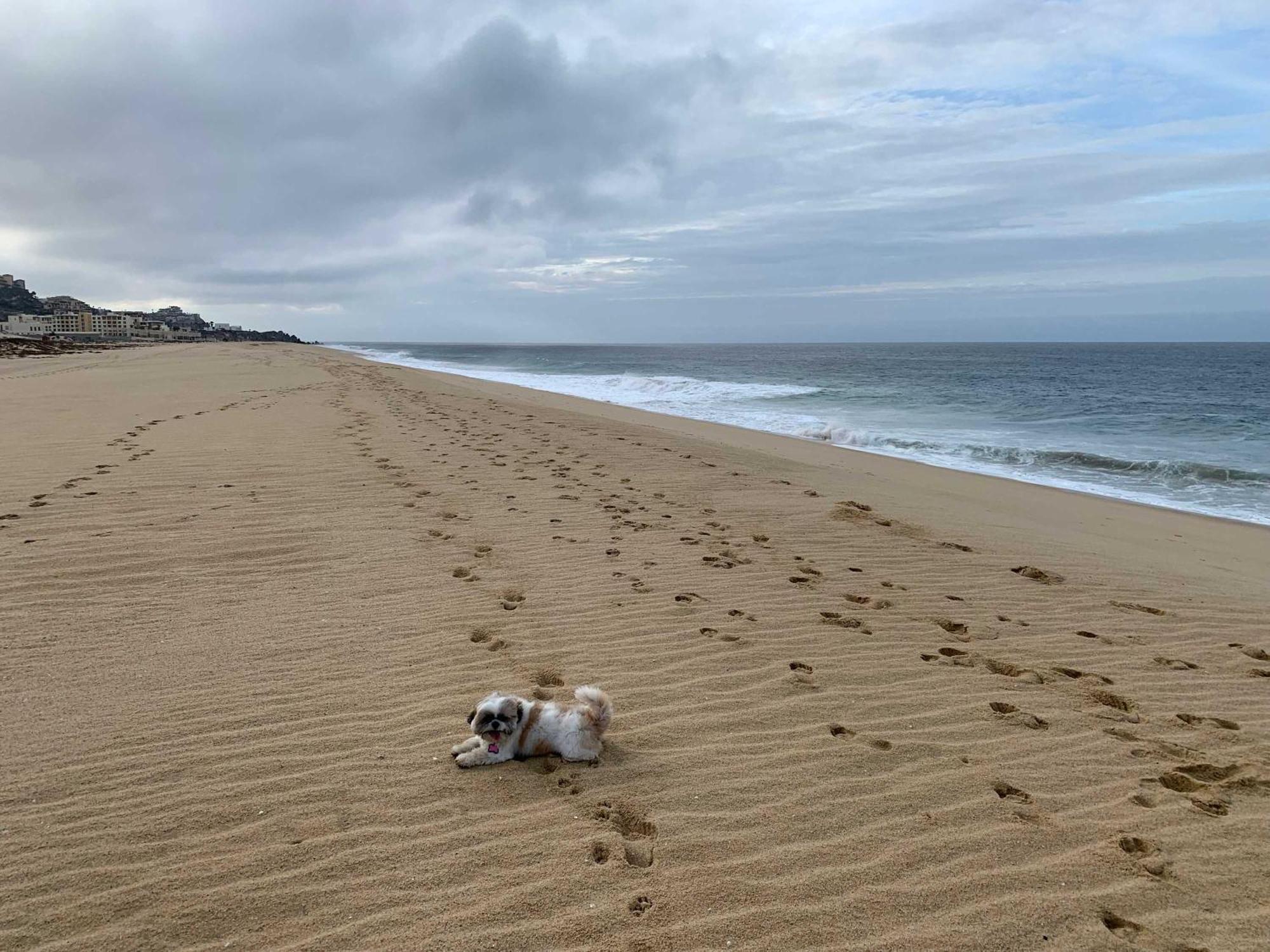 Cabo Cottage Copala - Stunning * Luxury Ocean View 2Br*Resort Living 카보산루카스 외부 사진